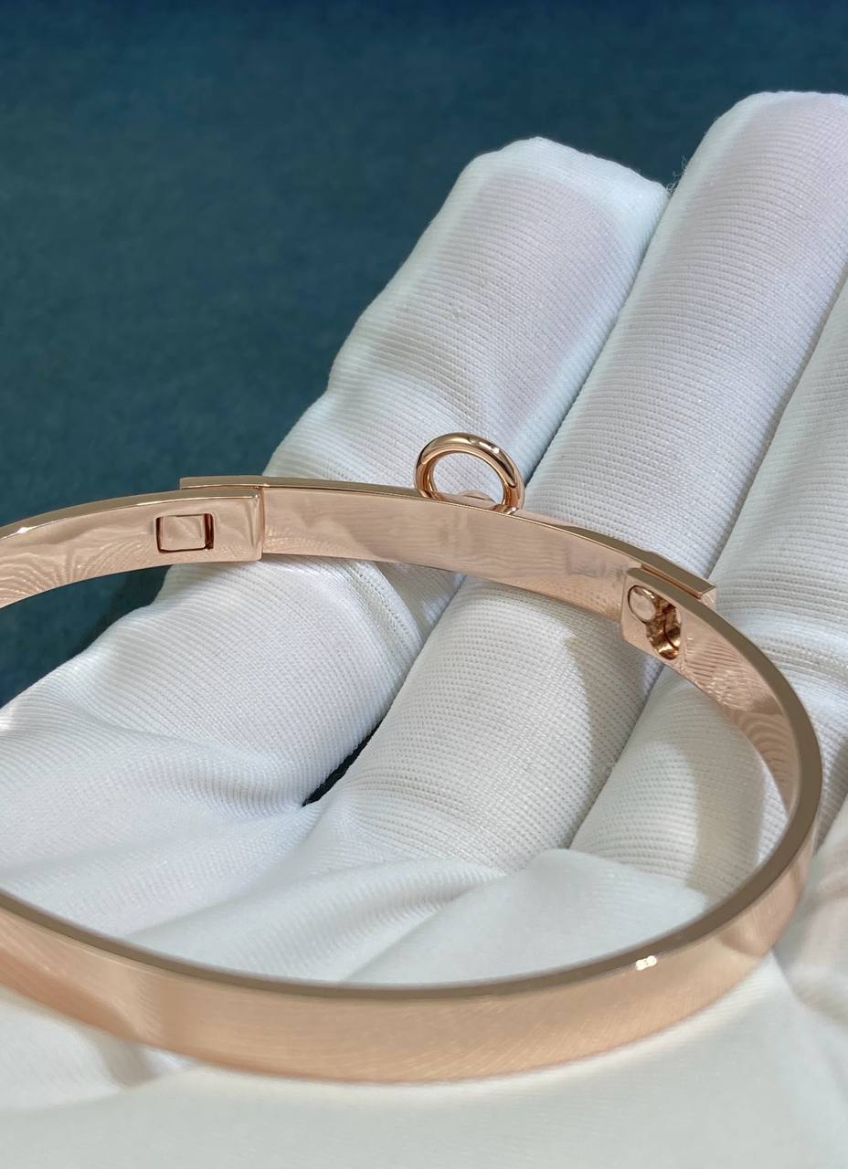 a. Bracelet Collier de chien avec diamants