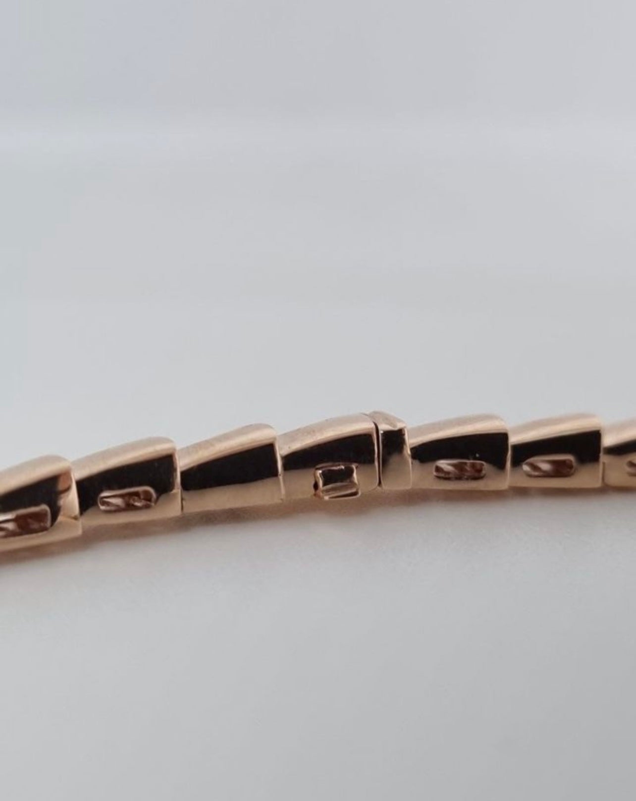Serpent Necklace