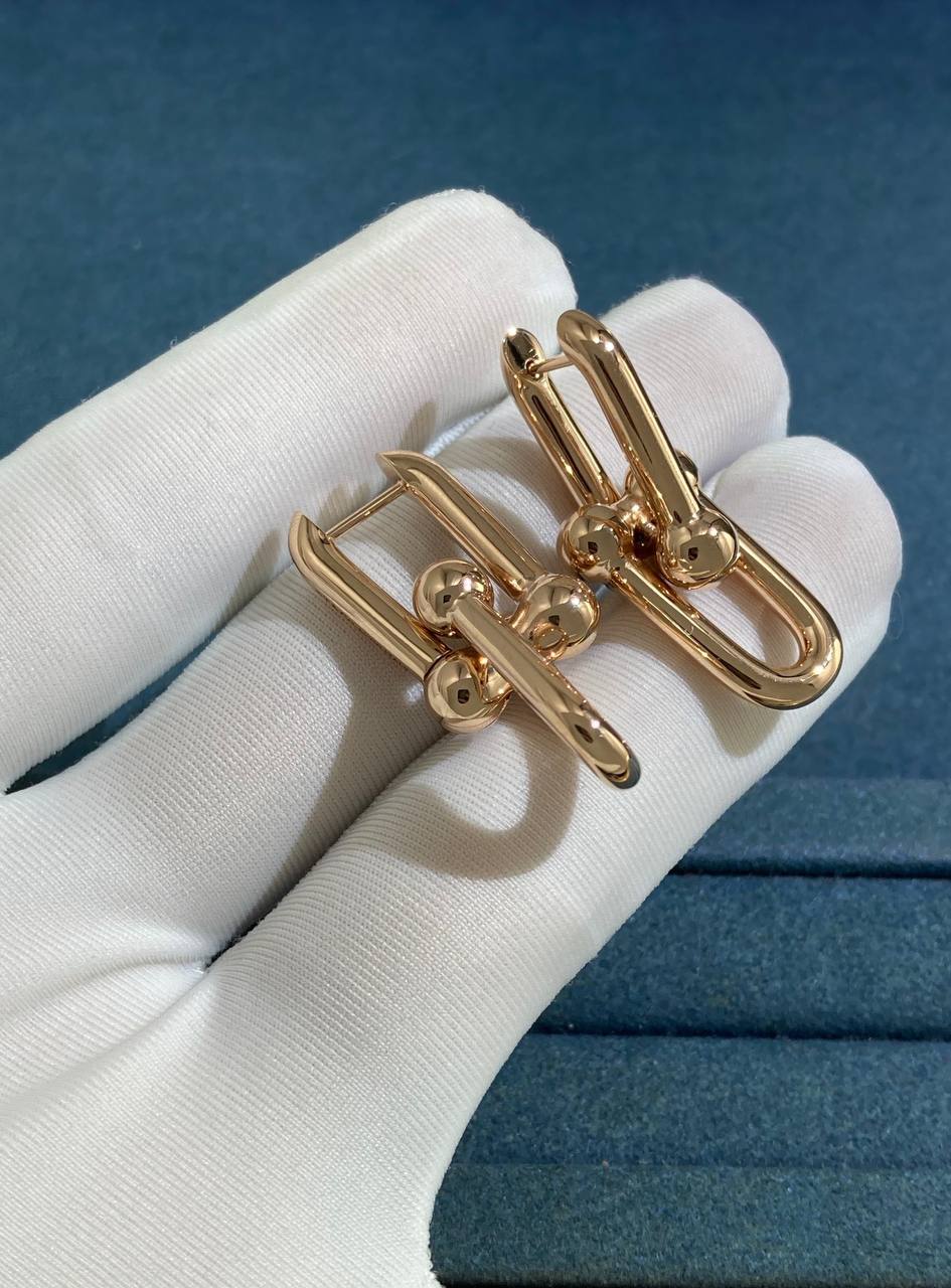TC Large earrings