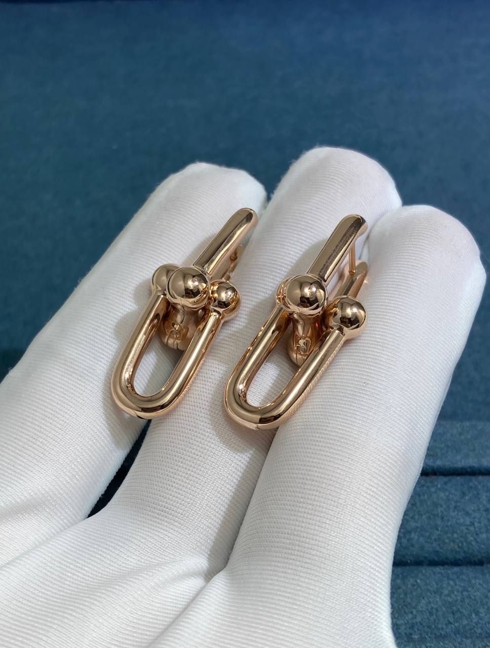 TC Large earrings